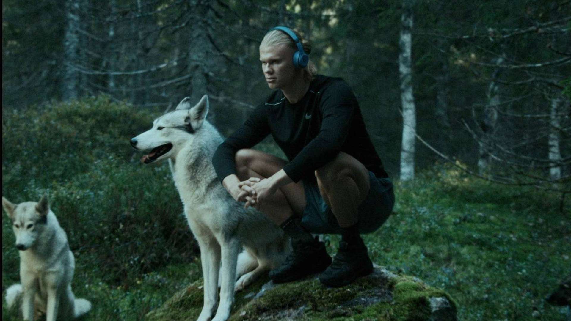 曼城在瓜迪 曼城在瓜迪