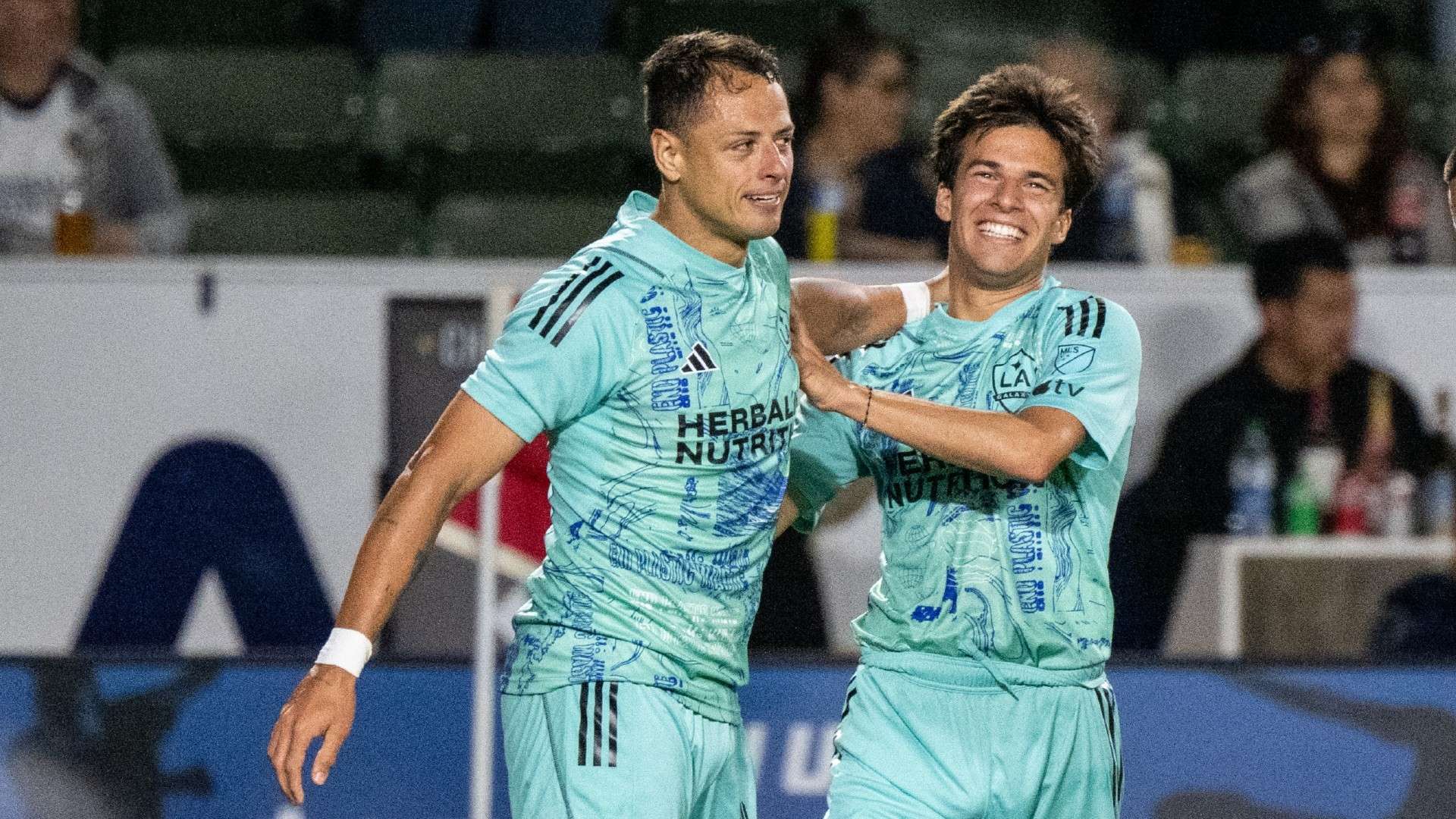 见证了运动 见证了运动